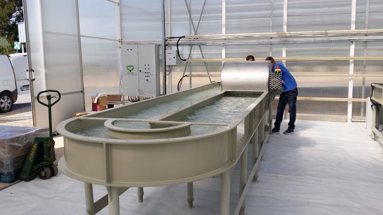 Reactor para cultivo de algas